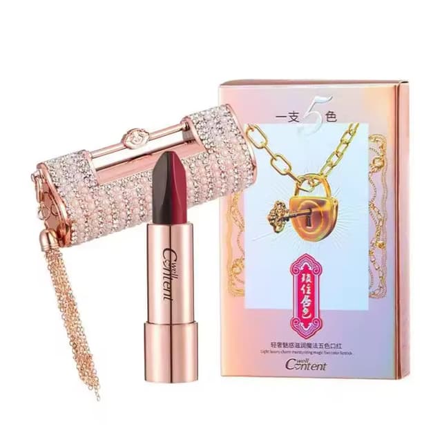 5 IN ONE LIPSTICK