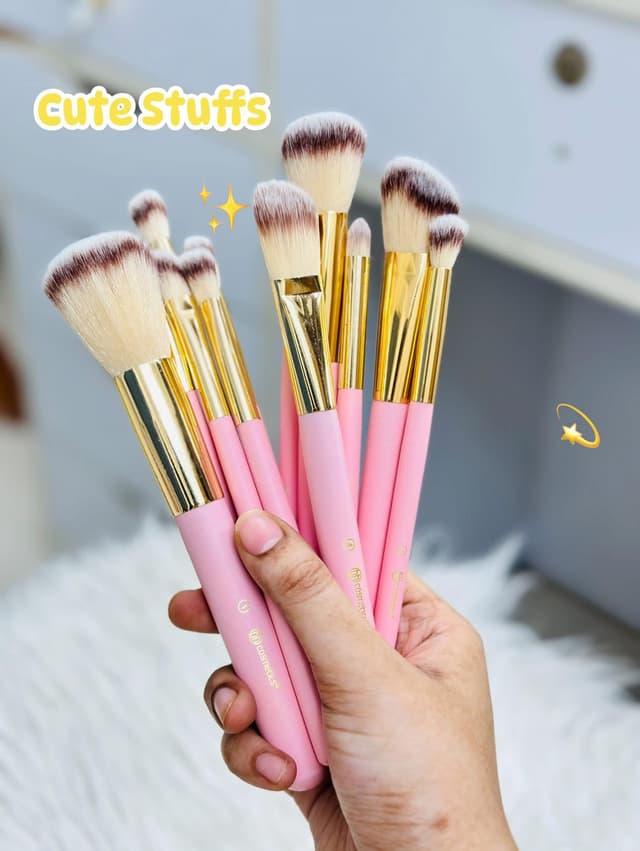 BH Premium Brush Set ( 12 Piece )
